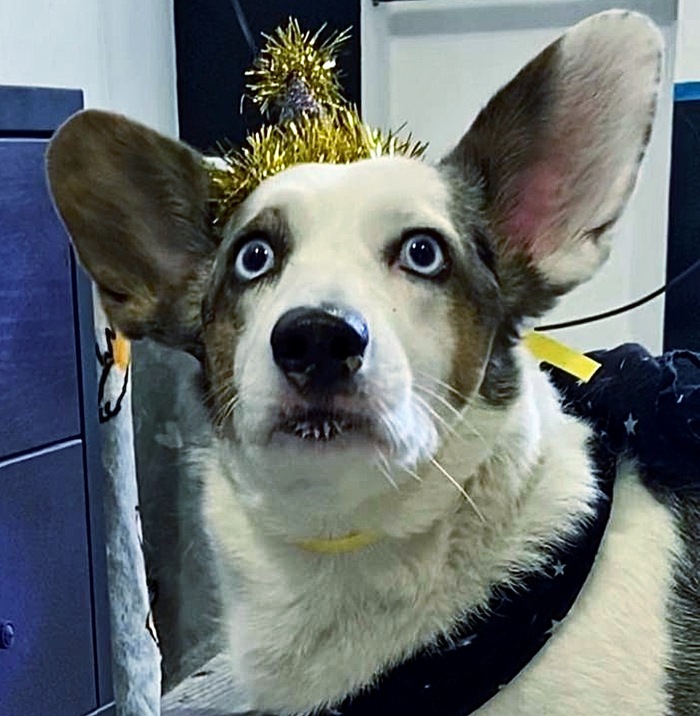 Соломея на дне рождения