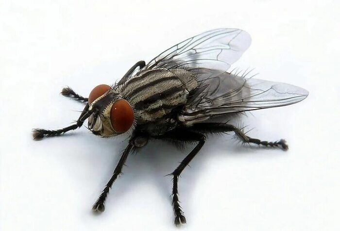 Ответ на пост «Кто ваш любимый злодей сериалов?»