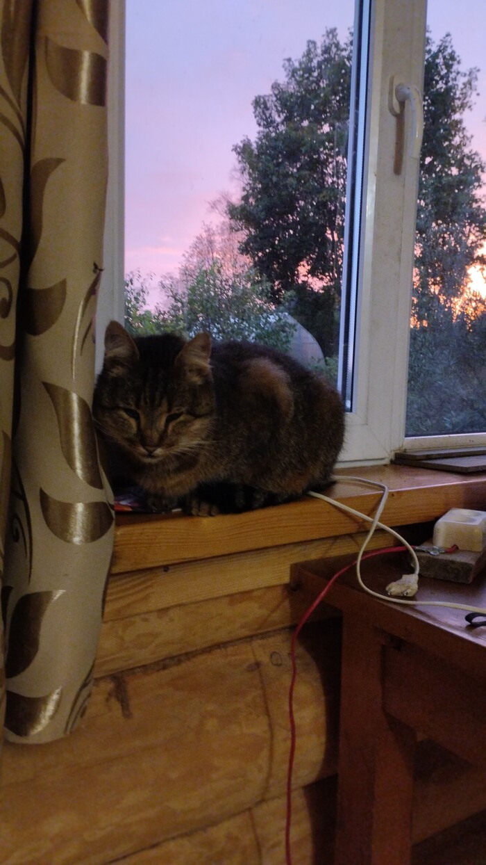 �� ���� ���������. ����� ����� ��������.