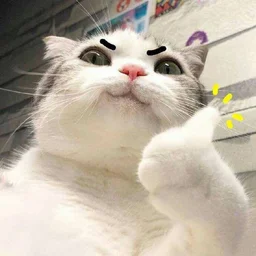 user11103004