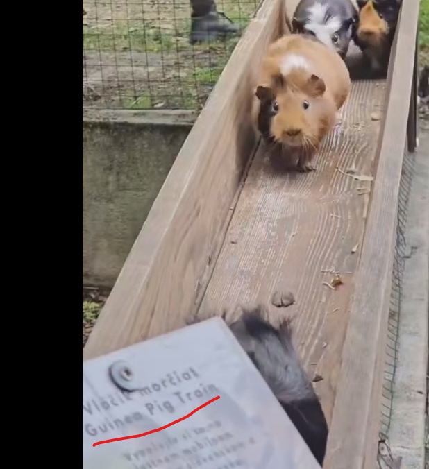  ���������� �� ������� - �����������!