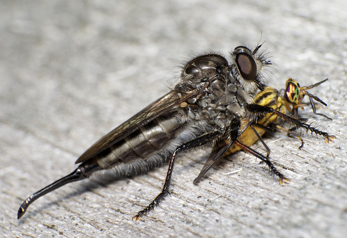Сережа, я же просила не делать засосы на шее! Мама меня убьёт!