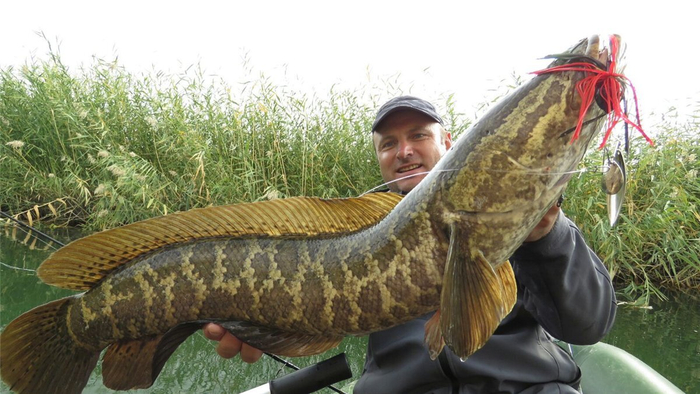 ,               !   ,   - .