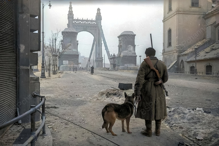 ��������: ������� ������