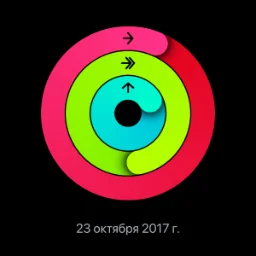 user9555443