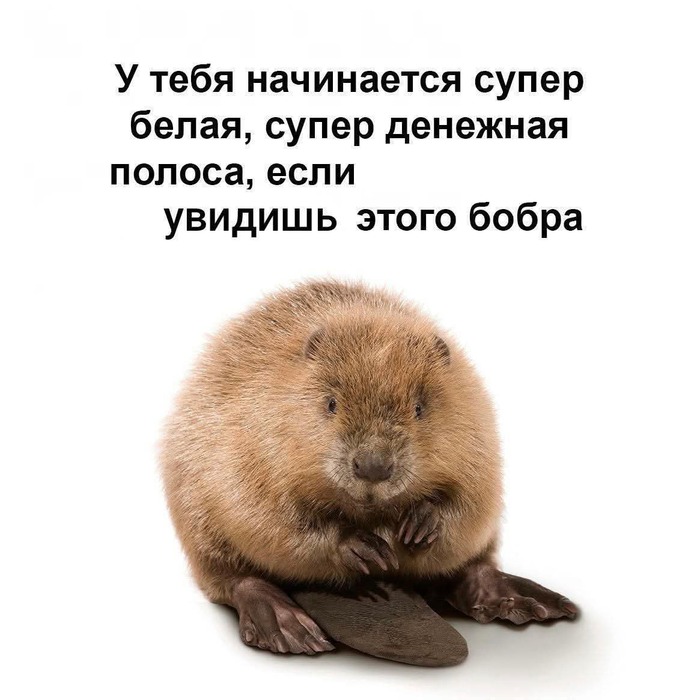 Не благодари