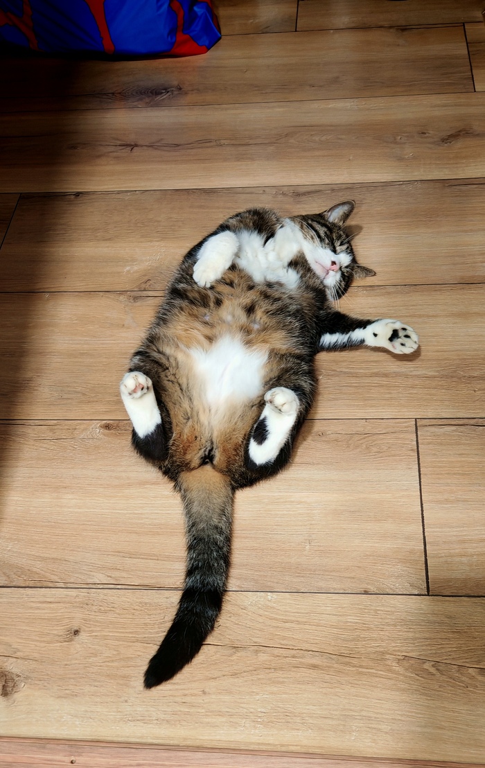 Голодный обморок