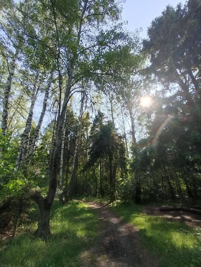 �������� � ������������ ������� ������