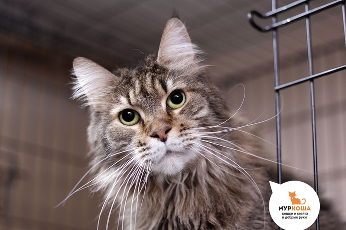  , 9 , .  .       - .  ,              .