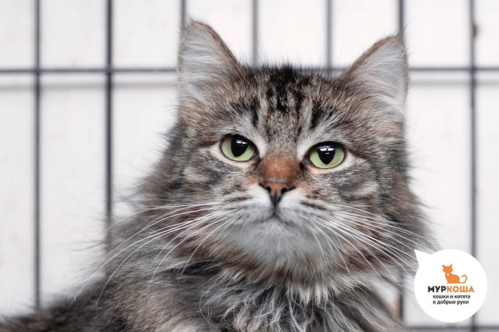  , 2 ,   .  .        - .  ,              .