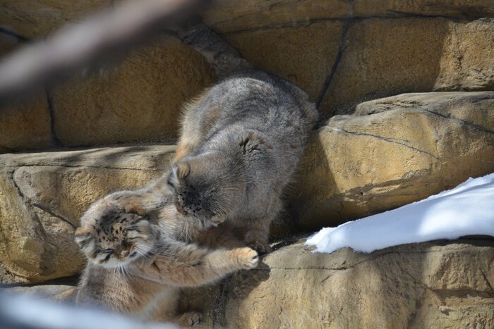  <!--noindex--><a href="https://pikabu.ru/story/vechnaya_lyubov_13238518?u=https%3A%2F%2Fx.com%2Fhighzie%2Fstatus%2F1972872979207106763%2Fphoto%2F1&t=https%3A%2F%2Fx.com%2Fhighzie%2Fstatus%2F1972872979207106763%2Fphoto%2F1&h=534686177955d4b7713889feda2e0ffeabf1ec7e" title="https://x.com/highzie/status/1972872979207106763/photo/1" target="_blank" rel="nofollow noopener">https://x.com/highzie/status/1972872979207106763/photo/1</a><!--/noindex-->