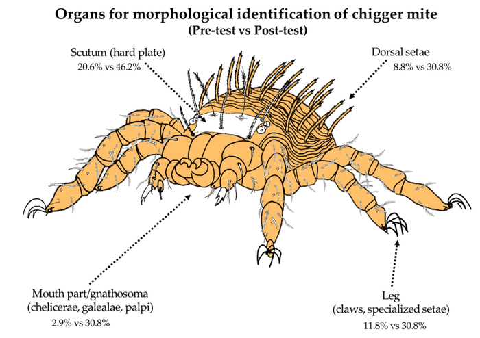    ,      .           !