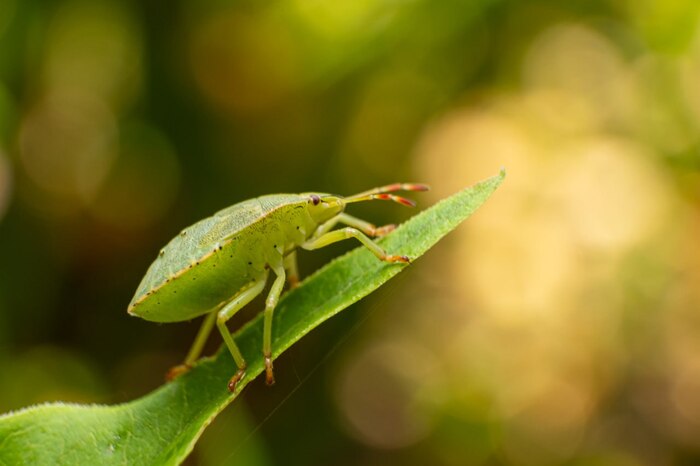 На вершине мира