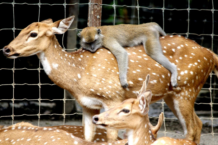 Как будто в плацкарте спишь, и никуда спешить не нужно.