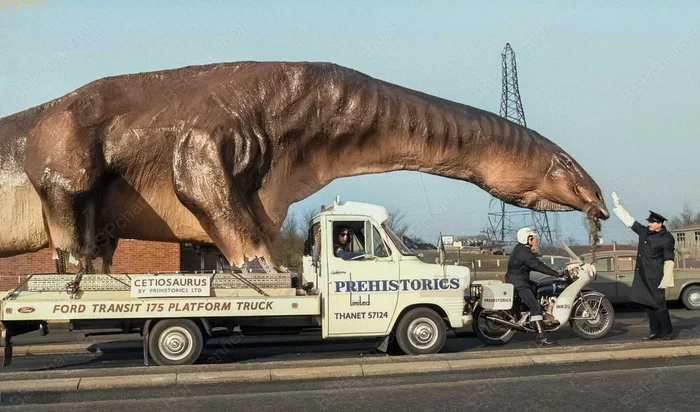 Фотограф: Ron Burton. Фотограф: Ron Burton.