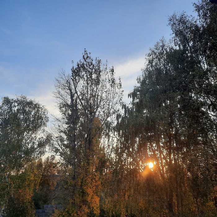 166 дней Есенина