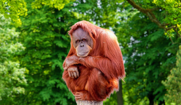 Тот самый эмо-бой, которого никто не понимает.