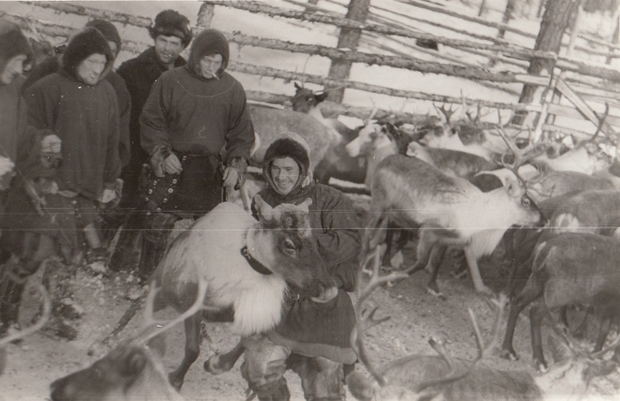  "" .     ()      15-20 .