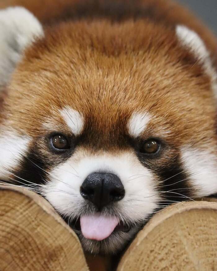 !