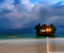 ������� ����