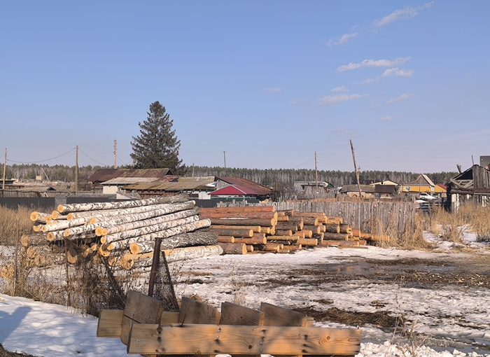 Место, где лежат бревна, — это мой огород, но использует его сосед. Видите, я ему тоже пригодилась!