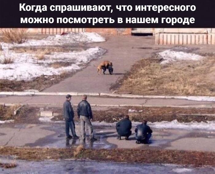 Не осуждаем, это просто Челяба