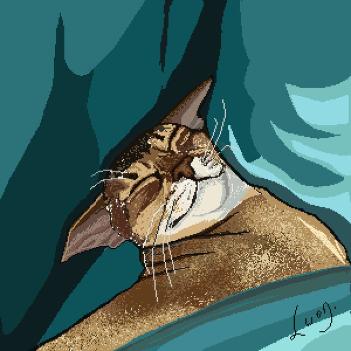 Рисовала в 300*300 пикселей