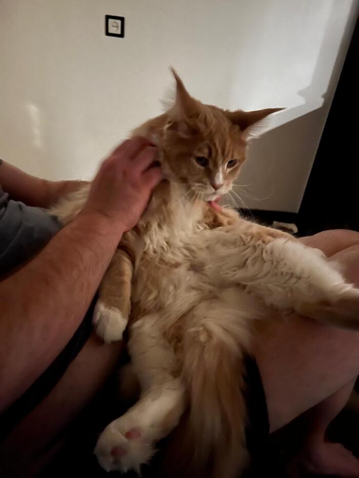 ����� ������ �� ������...