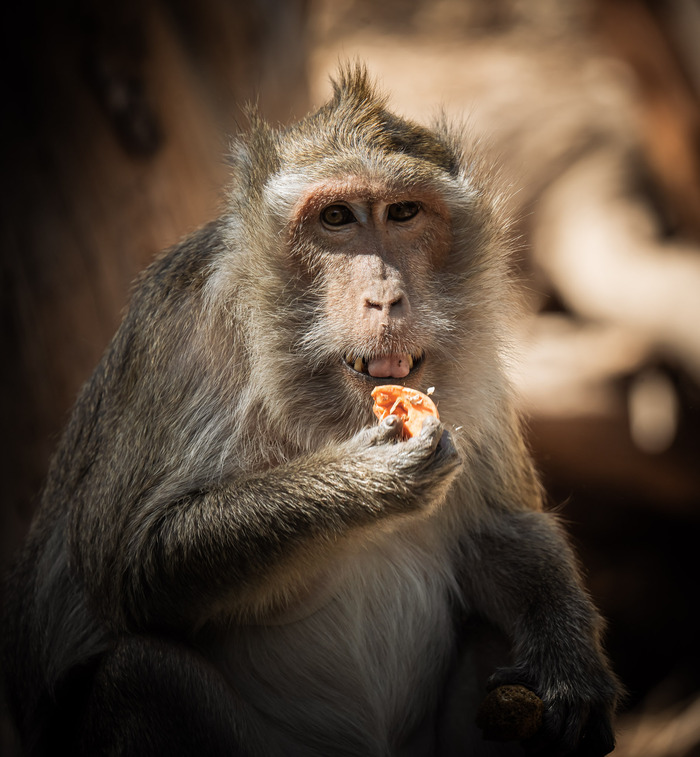 Ответ на пост «Практически голливудская улыбка»