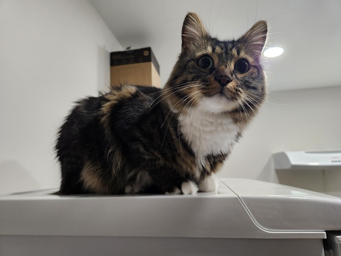 Ежедневный Рислинг #71