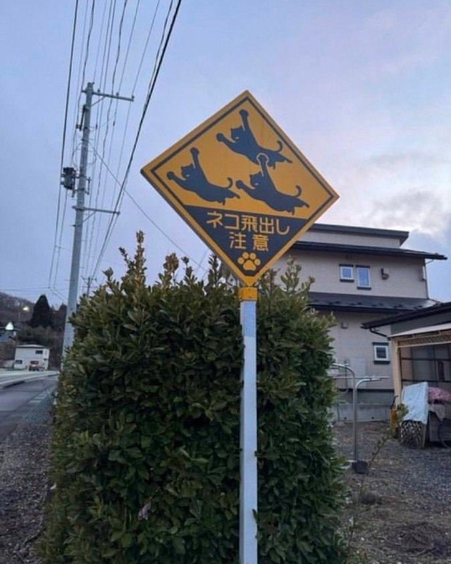 ���� � �������� ��������� ������, ��������������� ��� � ���, ��� ����� ����� ��������� �� ����