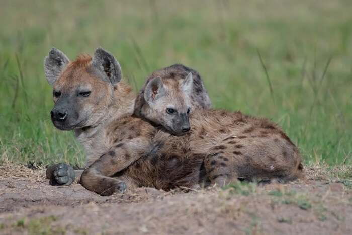 Вместе с мамой