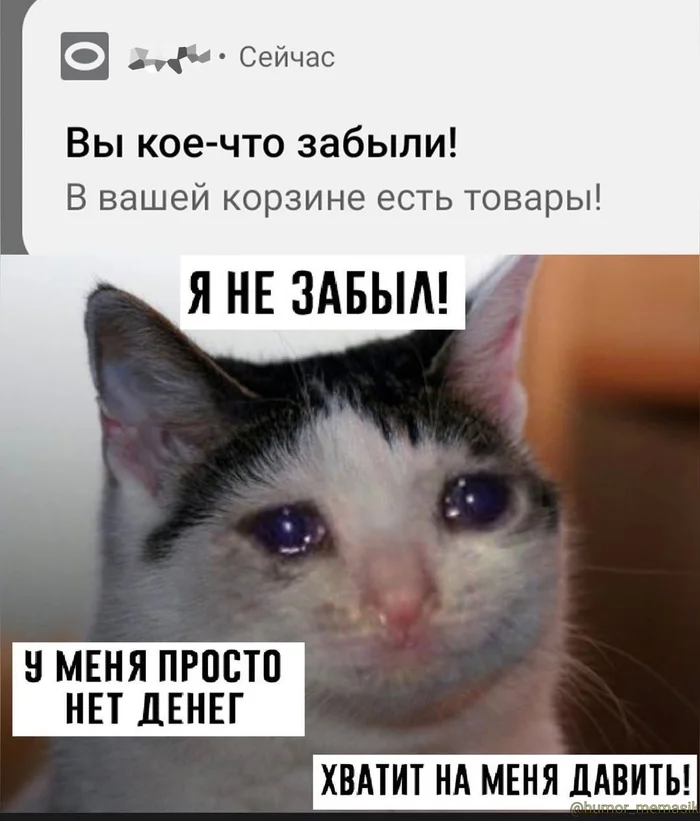 oqlsidxw.webp