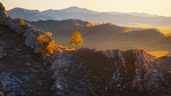 Панорама с дрона
