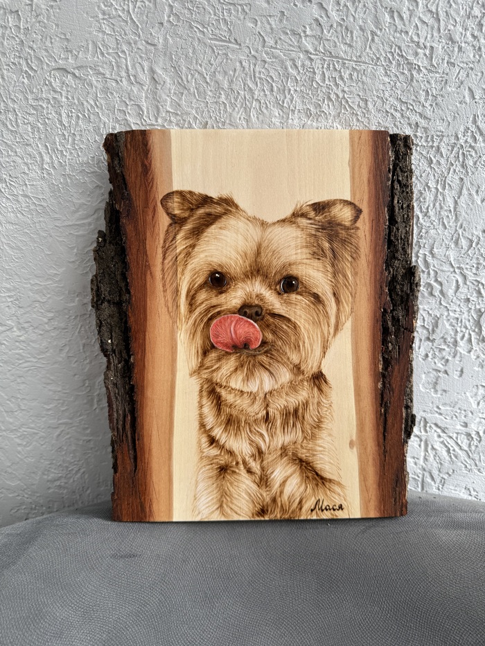 ��������� �������� ����� �� ����� ����