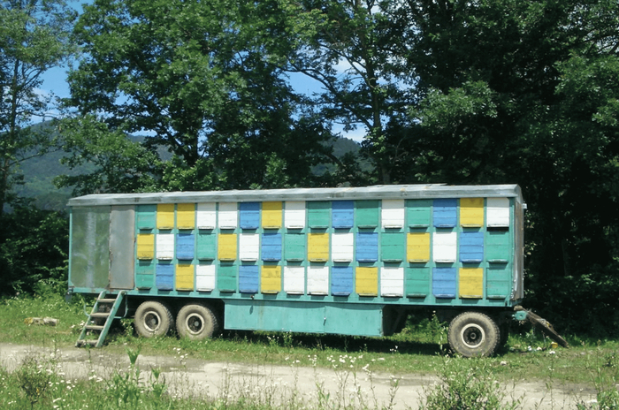 С мобильным павильоном можно быстро запустить пасеку на новом месте. 