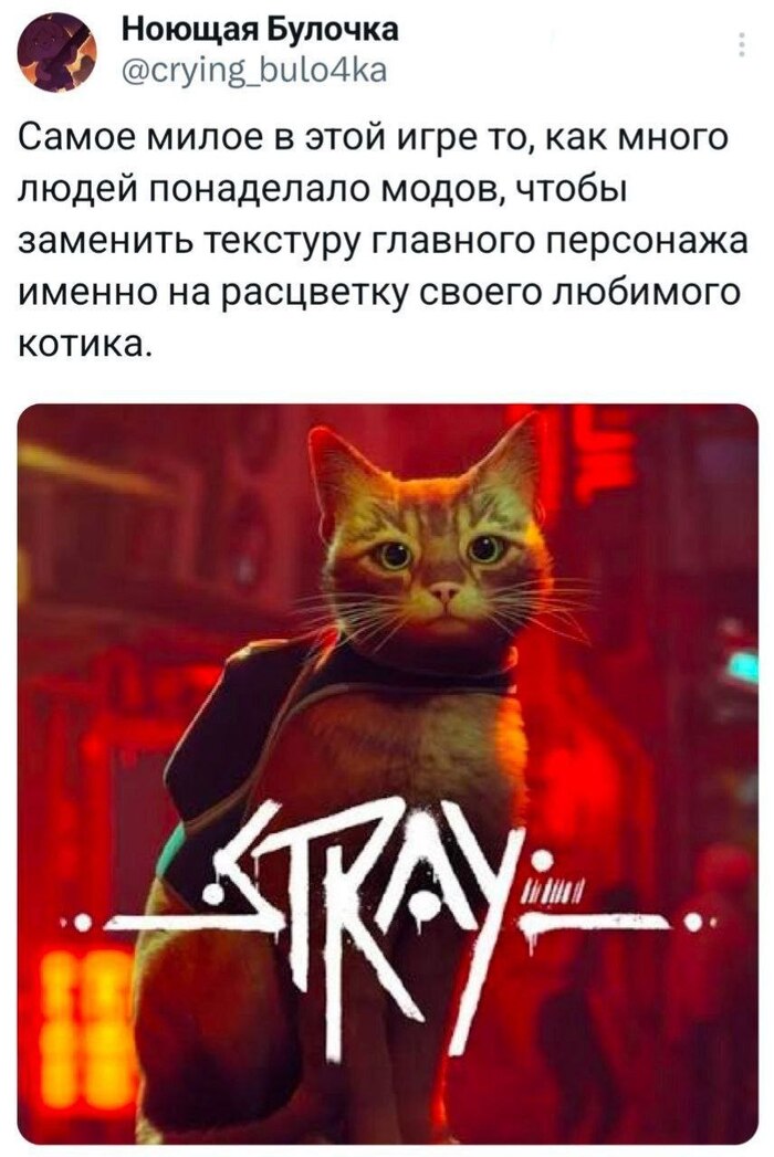 Stray