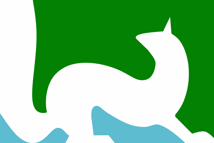 Флаг Куньи.