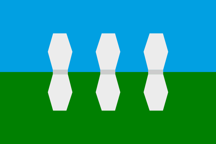 Флаг Новоржева.