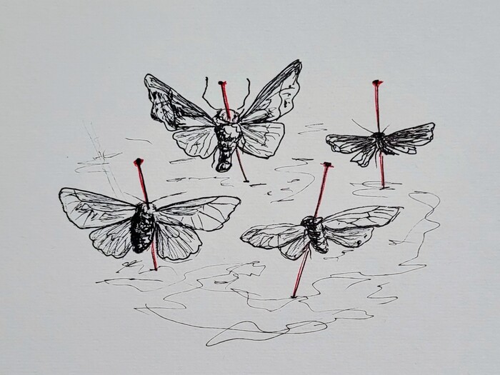 ����� ������ ����. 278/365