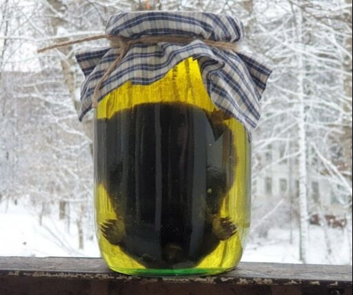 фото из интернета