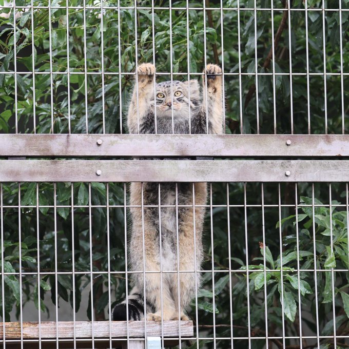 Сейчас с мыслями соберусь и как подтянусь