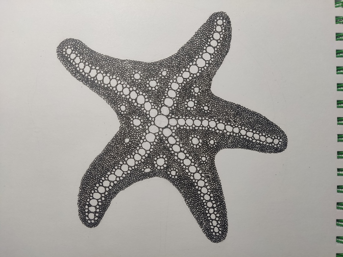 �������������� ����� Quipple