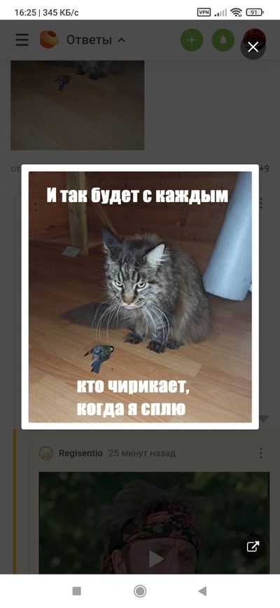 Иллюстрация к комментарию