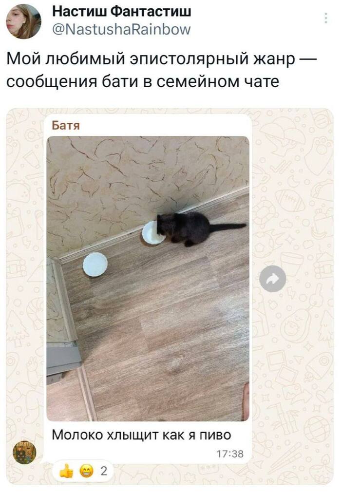 Батя в чате