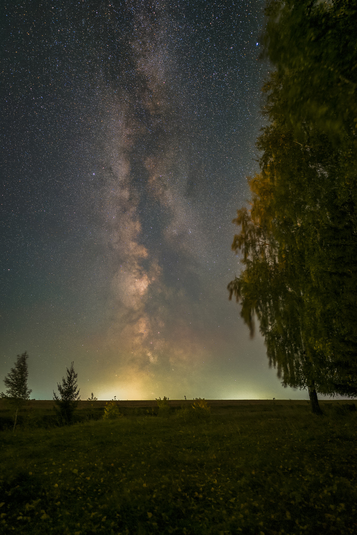 Млечный путь у лесопосадки