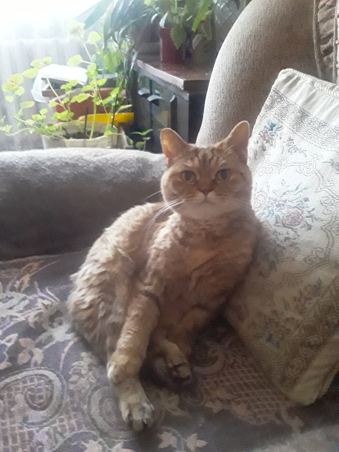 Минутка позитива