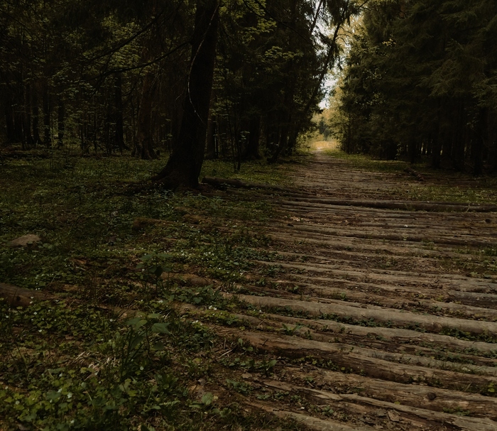 Загадочные тропы