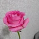 ����� ����� ������ ���� �����������