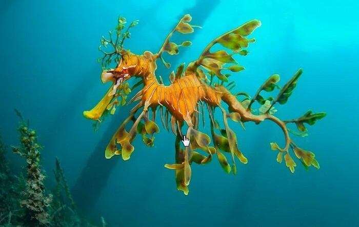 ���������� ������� ������